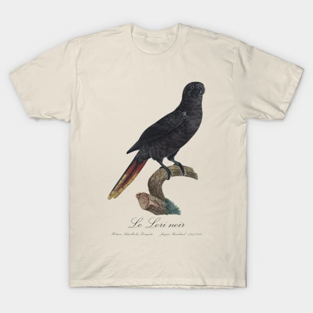 Black Lory / Le Lori Noir - Jacques Barraband 19th century Illustration T-Shirt by SPJE Illustration Photography